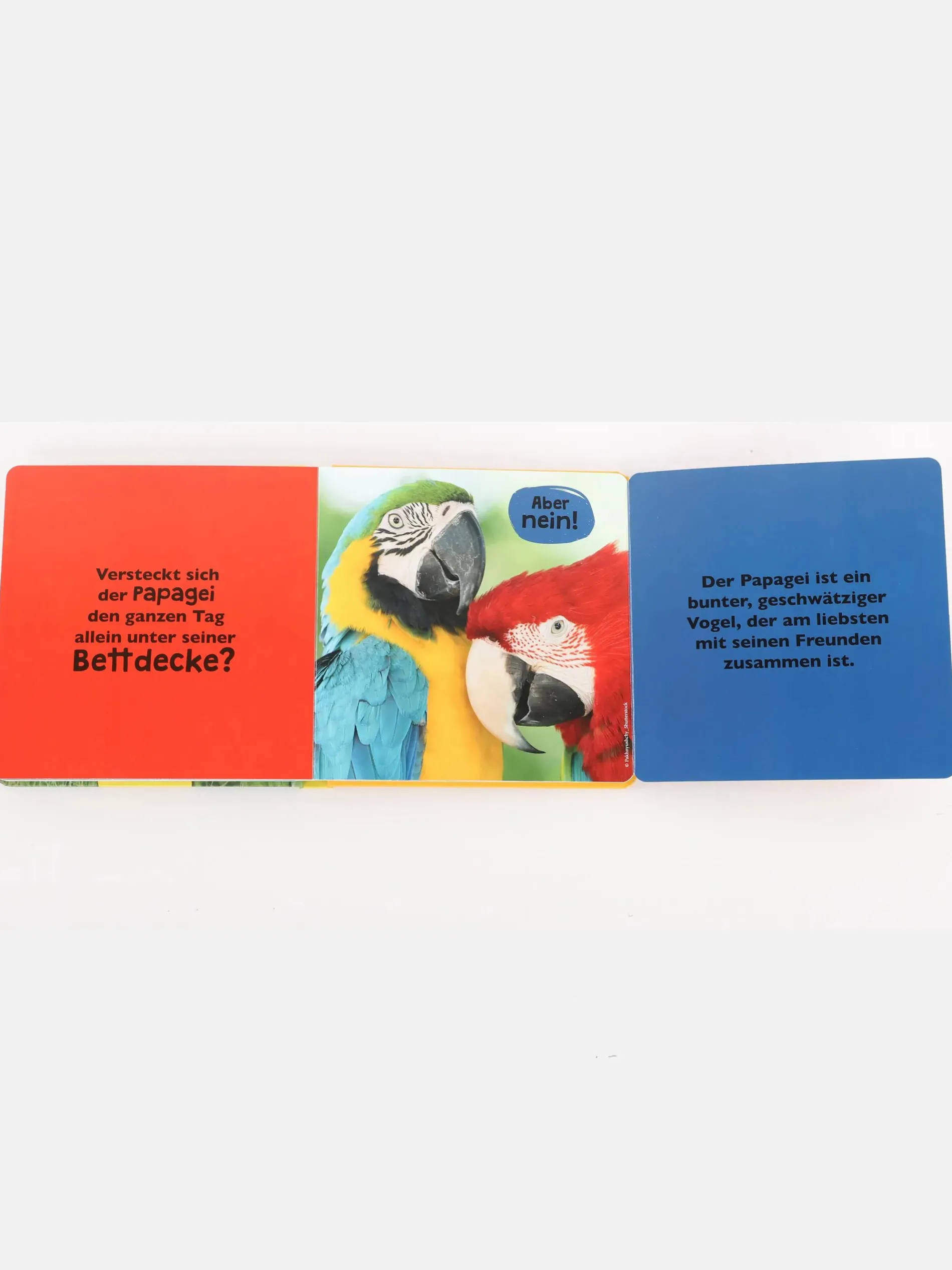 Kleinkinder Buch " Was meinst du"