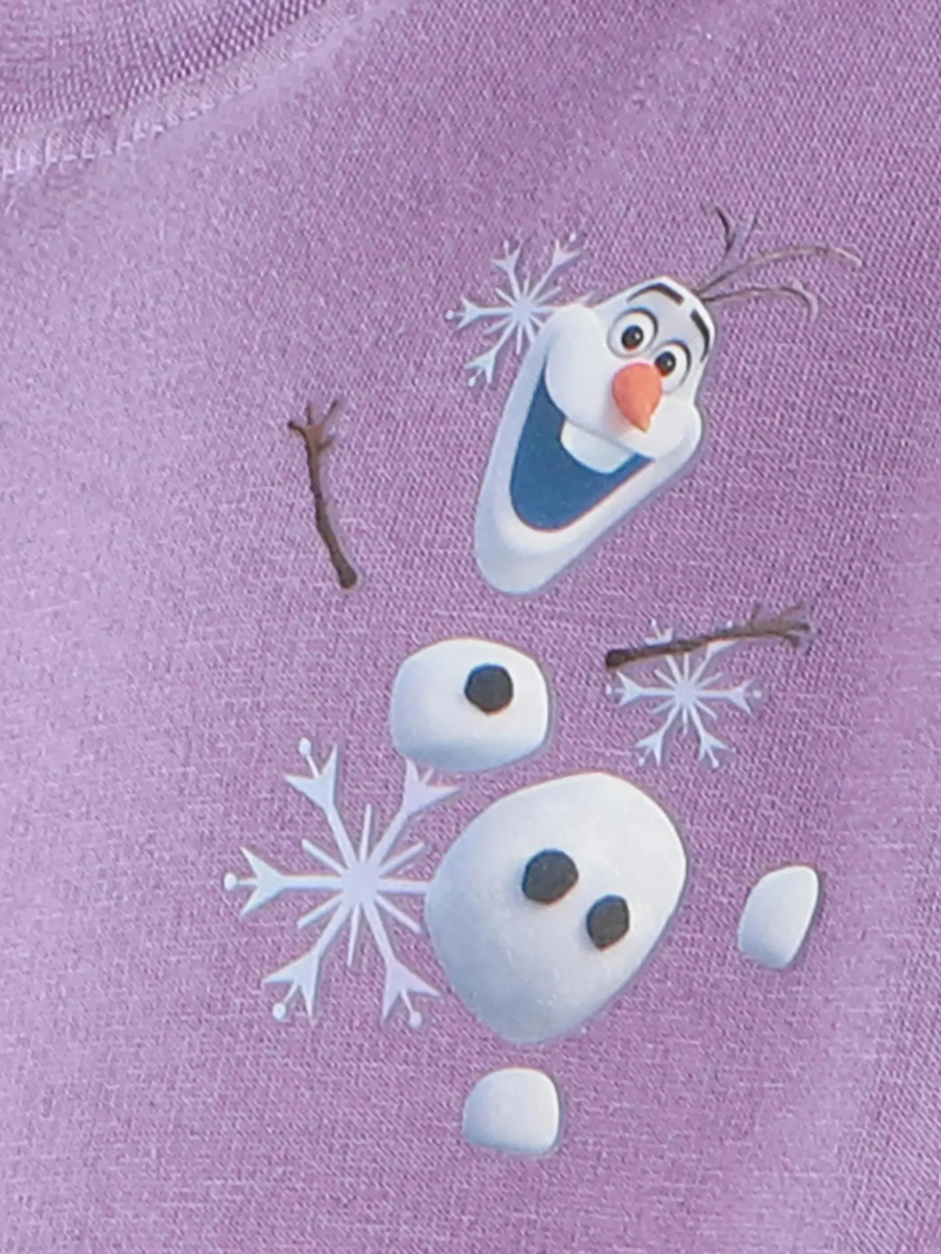 Mädchen Sweatshirt mit Frozen Motiv