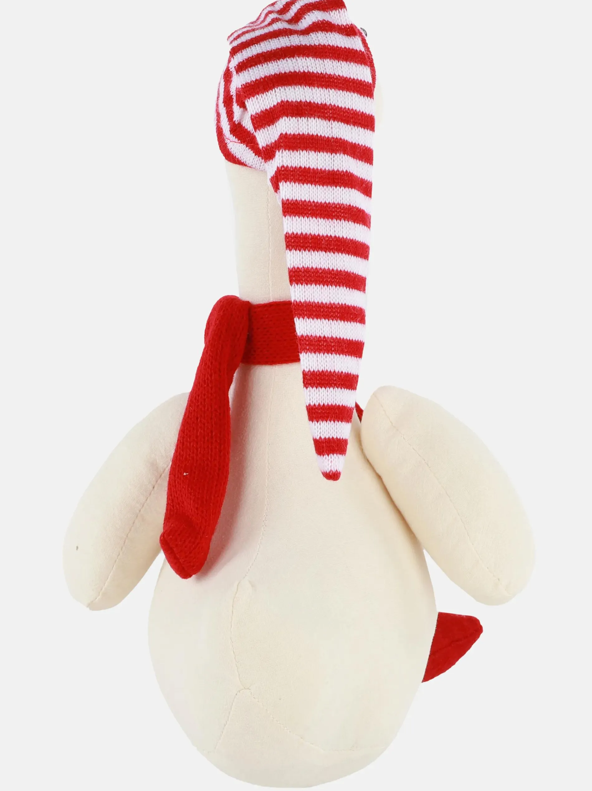 Weihnachtsgans mit Mütze